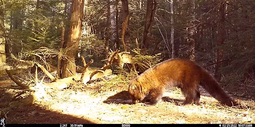 Lunch & Learn: Finding Fishers in the Granite State