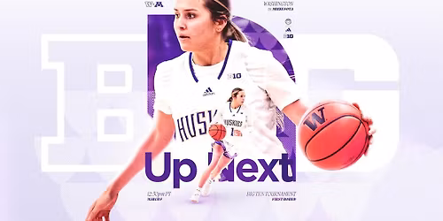 Minnesota Golden Gophers at Michigan Wolverines Womens Basketball