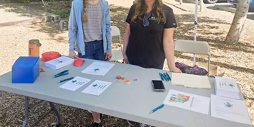 Parking Too Many Zooz