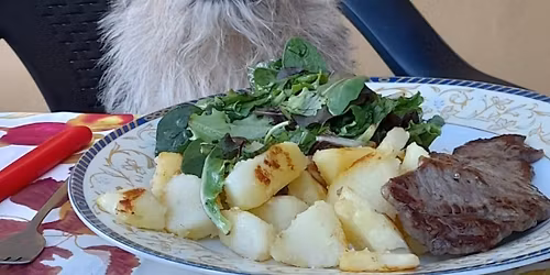 Workshop Frustrationstoleranz & Impulskontrolle 