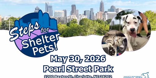 Steps for Shelter Pets 