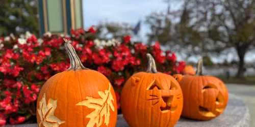 Pumpkin Palooza