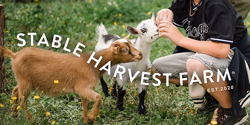 Farm Animals Meet & Greet at Stable Harvest Farm (FREE)