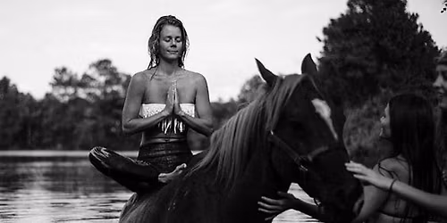 Equine Om Teacher Training Certification and Equine Reiki Certification 