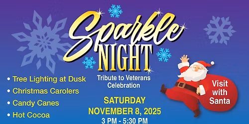 Sparkle Night