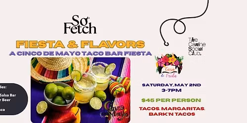 Cinco De Mayo Taco Bar Fiesta