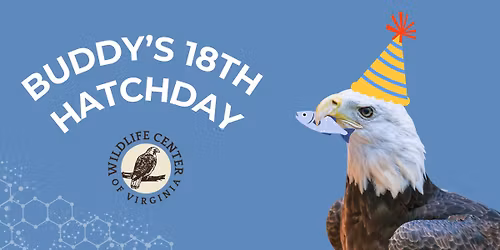 Buddy's 18th Hatch-day Celebration