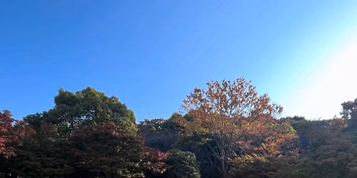 Education for Sustainable Future Forum in Japan 