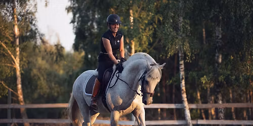  LALWE 2026 Czworoboki  i Parkury Szkoleniowe (PZJ i WEP) 