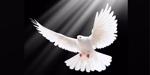 The Pianoman's White Dove Musical (Preview Show)