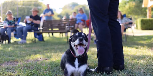 Blessing of the Animals