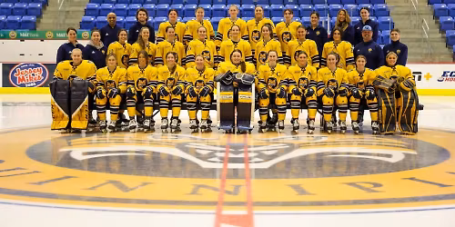 Northeastern Huskies at Quinnipiac Bobcats Womens Hockey