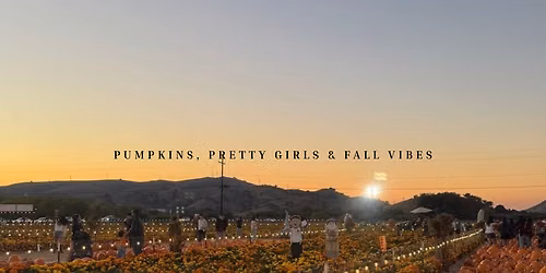 PUMPKIN PATCH SOCIAL