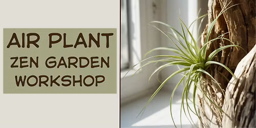Air Plant Zen Garden Workshop