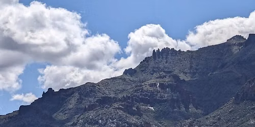 Plant Walk: Superstition Mountains