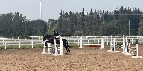 Shamrock Series II Hunter Jumper