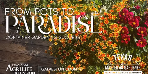 From Pots to Paradise - Container Gardening Success