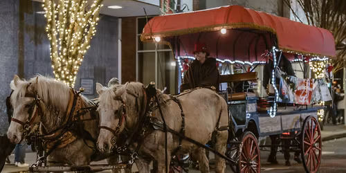 Horse & Carriage Rides