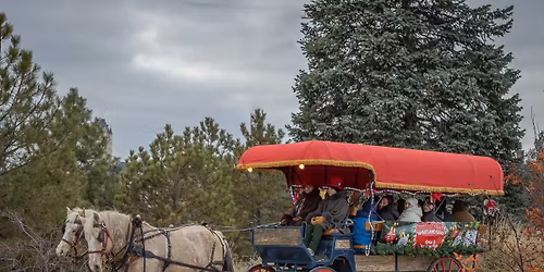 Horse & Carriage Rides