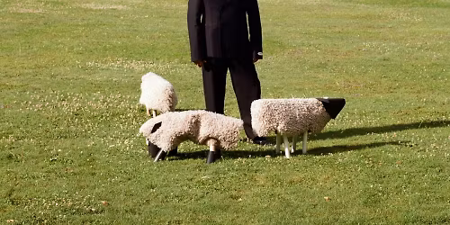 S\u00e9bastien Tellier in S\u00e8te