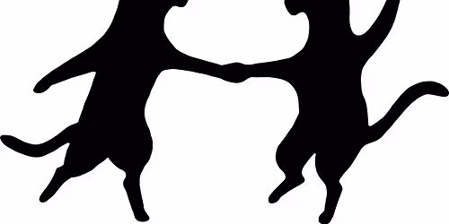 Lindy Hopcats Practice