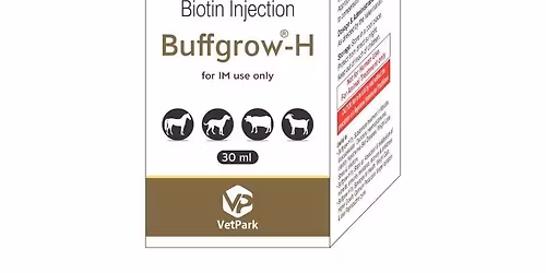 \u0a2a\u0a38\u0a3c\u0a42\u0a06 \u0a28\u0a42\u0a70 \u0a39\u0a40\u0a1f \u0a1a \u0a32\u0a48\u0a15\u0a47 \u0a06\u0a09\u0a23 \u0a32\u0a08 