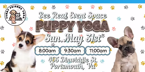 Puppy Yoga at Bee Real Event Space \u2013 Portsmouth, VA