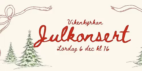 Julkonsert - Insamling