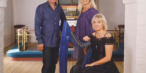 Julekoncert med 'Den unikke trio'