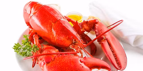 Veteran's Day BOGO Lobsters*!