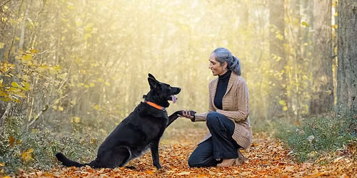 Dog Happy Husbandry workshop: Cooperative Care for Everyday Life \ud83d\udc3e