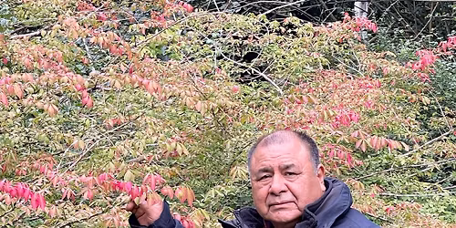Shamanistisk terapier i Forstbotanisk have i Charlottenlund, K\u00f8benhavn. Med Gerardo Pizarro