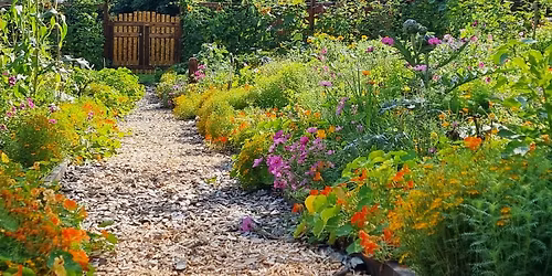 Kj\u00f8kkenhagekurs -2 l\u00e6rerike dager!-