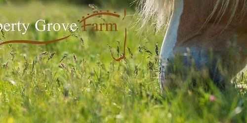 Liberty Grove Farm August Dressage Schooling Show