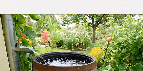 Texas Master Gardener Presentaci\u00f3n: Como Tener Un Jardin Exitoso en Dallas