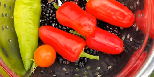 Garden Fall Clean Up \/ Meet and Greet