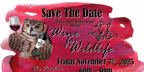 Wine for Wildlife \ud83c\udf77\ud83d\udc3f\ufe0f\ud83e\udd89\ud83e\udd8a\ud83e\udd9d