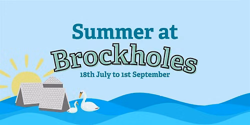 Meet, greet and pet Alpacas at Brockholes!