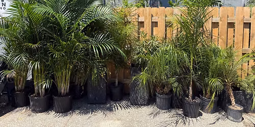 Warehouse Plant Sale SATURDAY 11\/7 10am-4pm