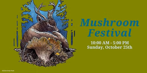 Mushroom Festival