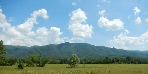 Rooted & Restored \u2014 Mother\u2019s Day Wellness Retreat