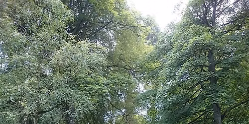 Dundee's Gaelic Walk - Balgay