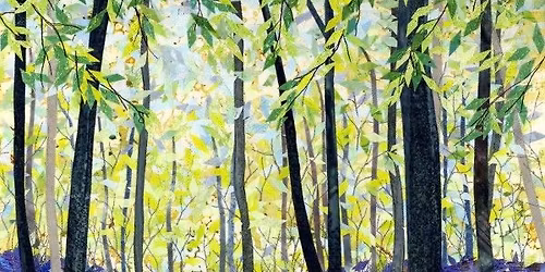 WORKING IN SERIES- KATE FINDLAY