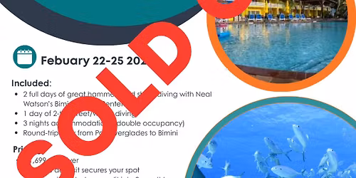 SOLD OUT - Bimini Hammerhead Adventure!