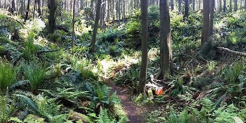 2025 Choose Your Adventure Series #6 \u2013 Bog Slog!