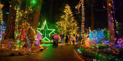 St. Luke's Trip to the Grotto's Festival of Lights
