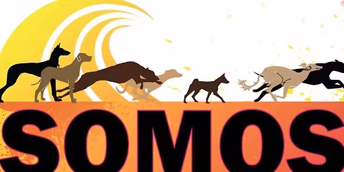 SOMOS dog races