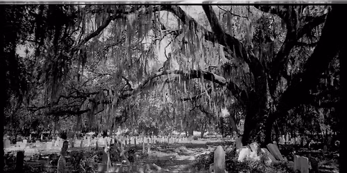 History and Preservation in Holt Cemetery with Gaynell Brady