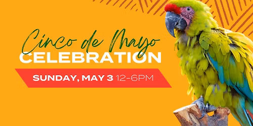 Cinco de Mayo Celebration