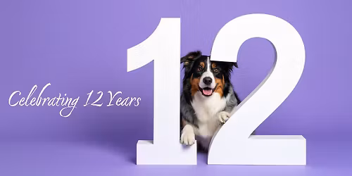 Bake Sale \/ 12th Anniversary Fundraiser